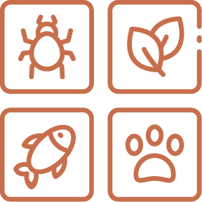 Promotion de la biodiversité
